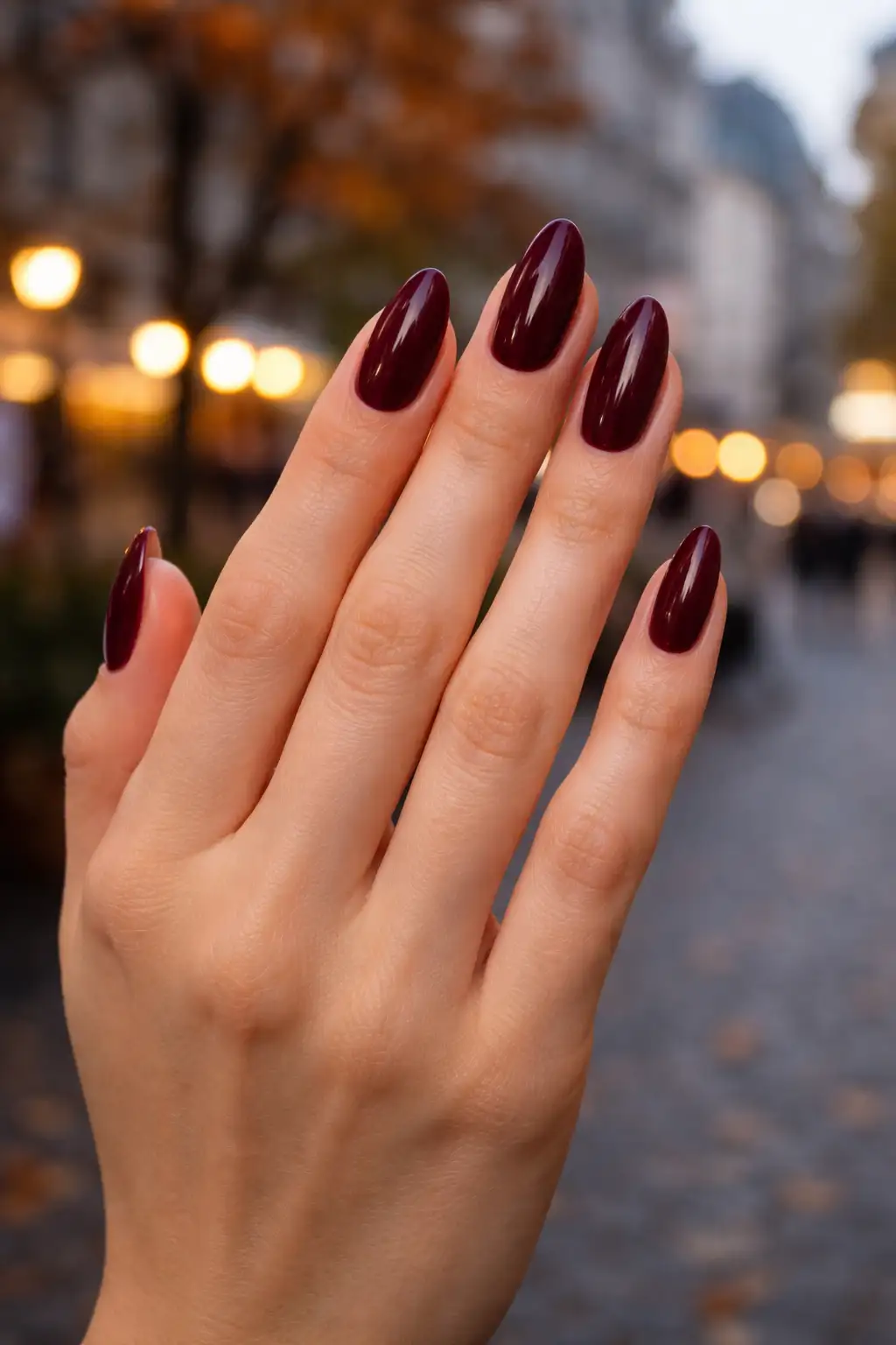Burgundy Night