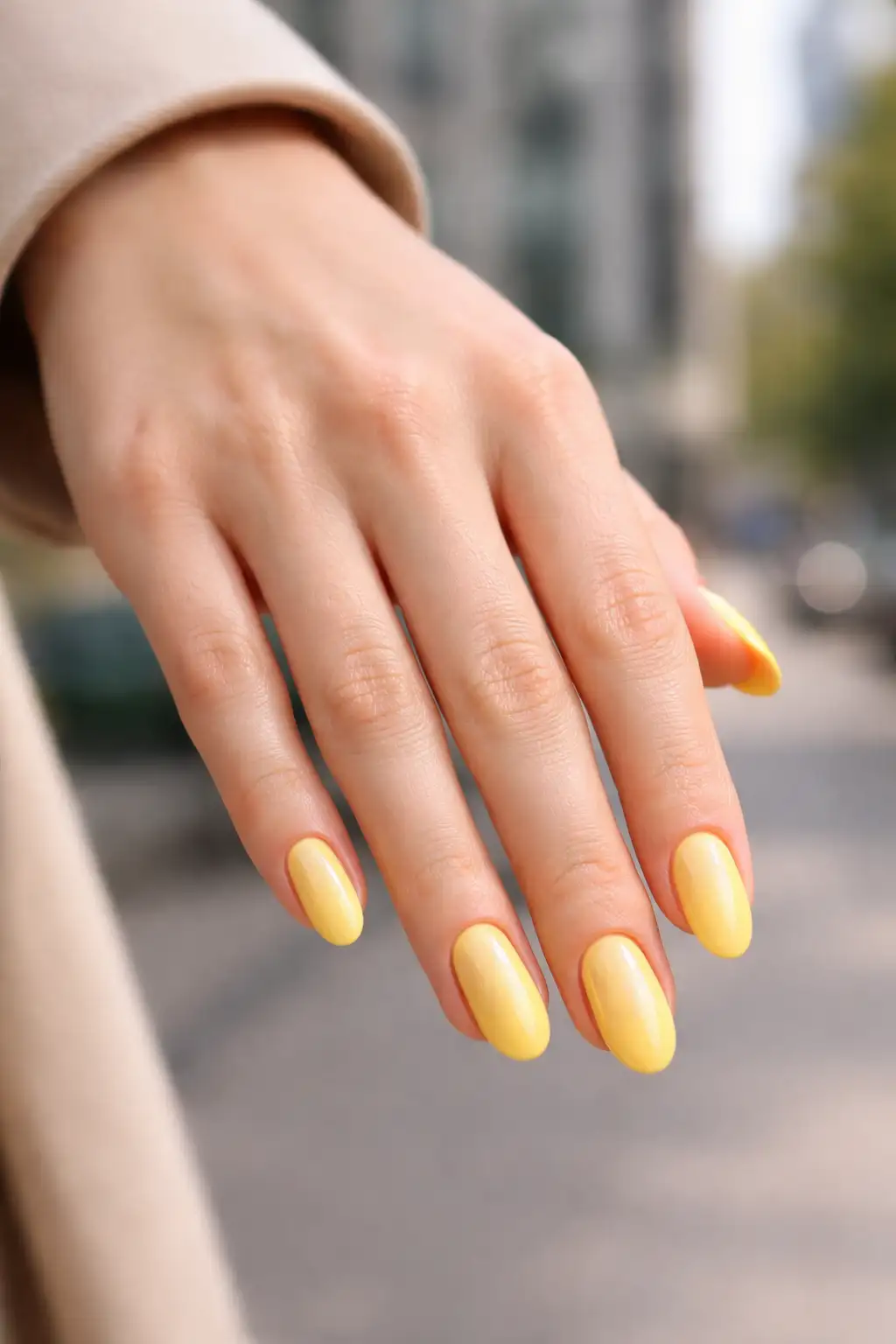 Boardroom Holo