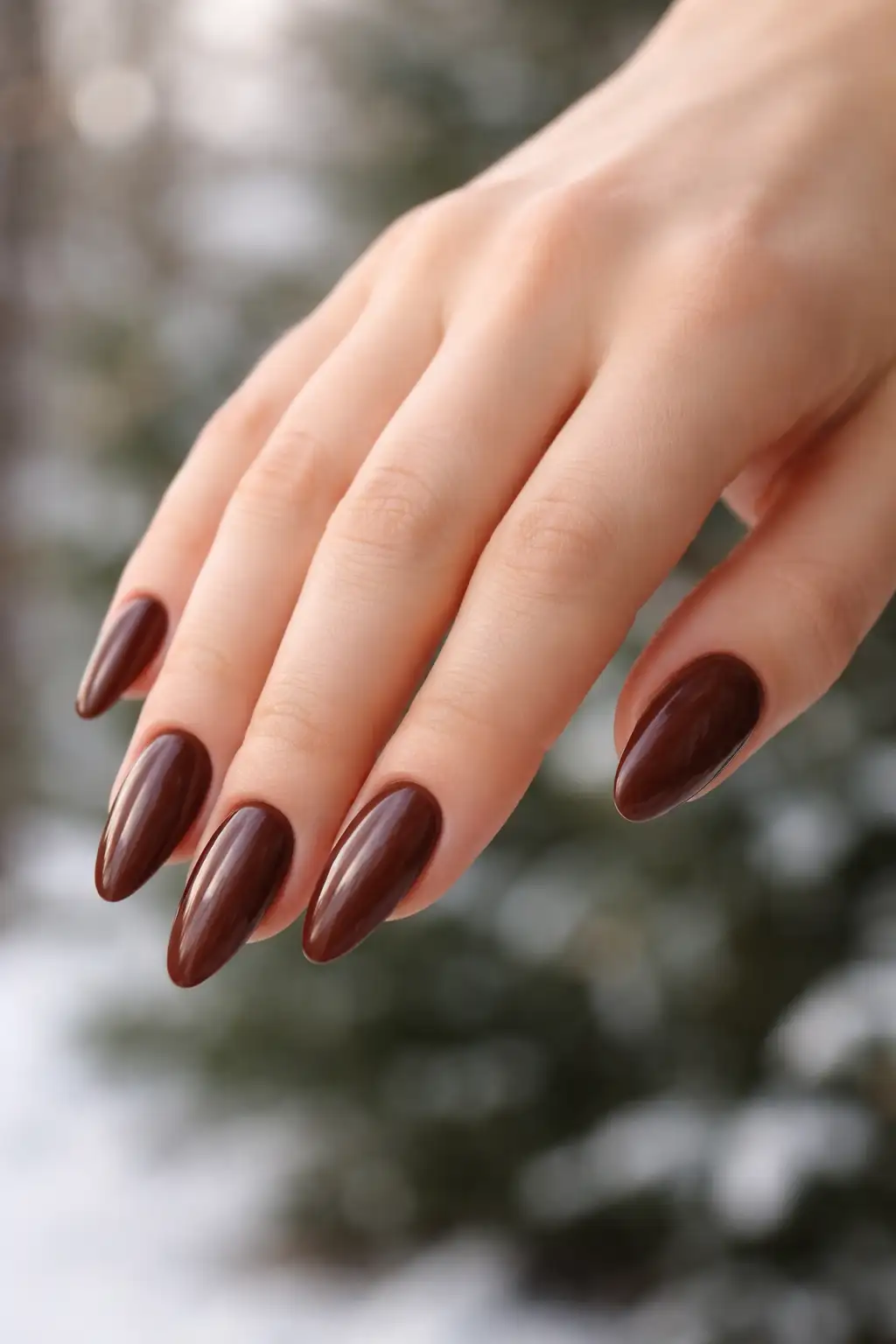 Cocoa Winter Glow